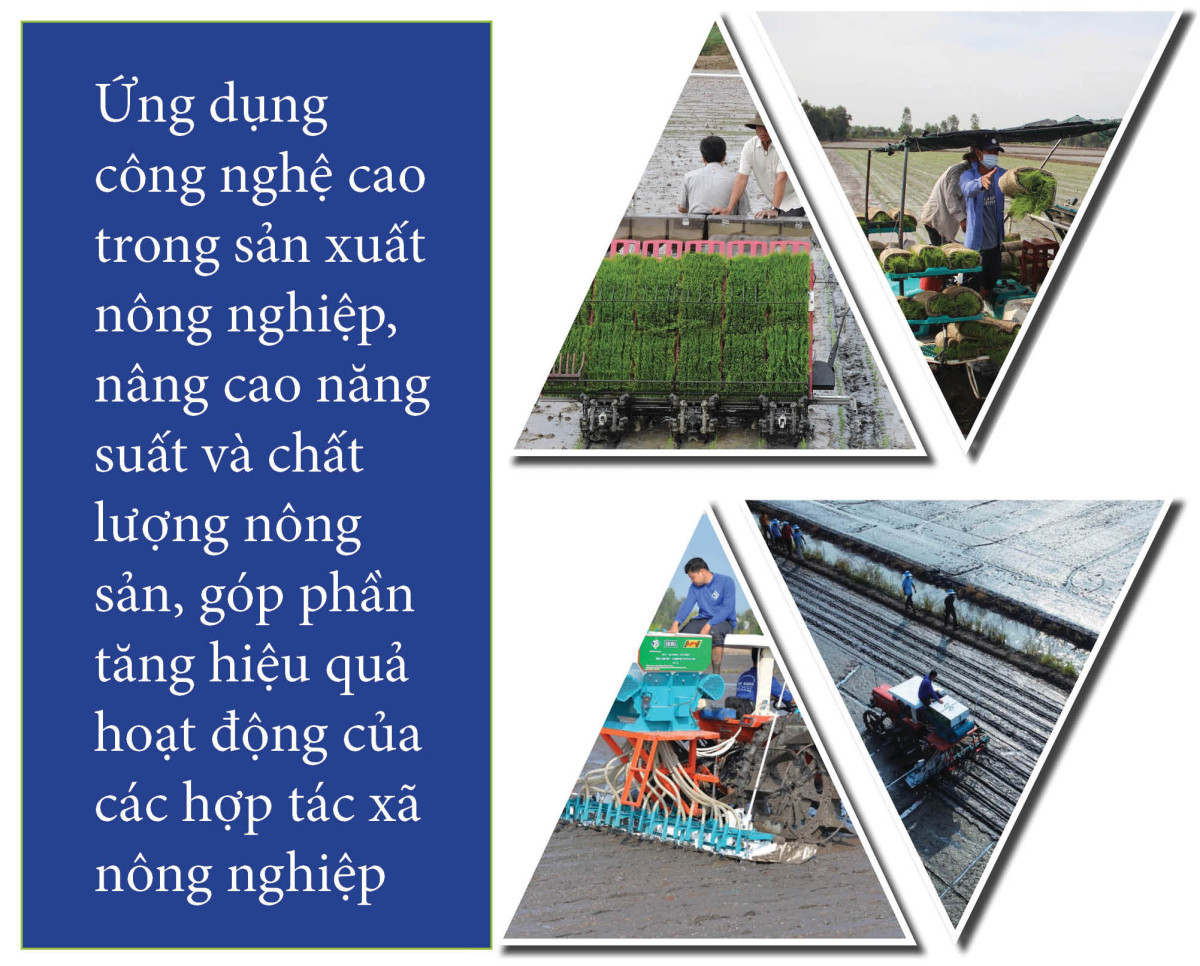 Đưa kinh tế tập thể 'cất cánh'