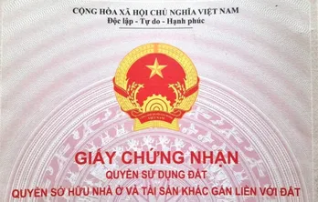 Cấp sổ đỏ cho đất không giấy tờ: Phải là đất ‘sạch’ không xảy ra tranh chấp