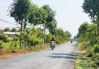 Sức sống mới nơi biên cương Sức sống mới nơi biên cương