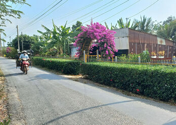 Thái Trị: Nhân rộng mô hình Sáng, xanh, sạch, đẹp, thanh bình