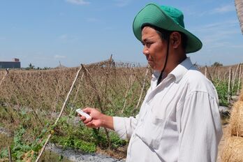 Nông dân mạnh dạn đầu tư trồng rau ứng dụng công nghệ cao