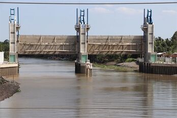Saltwater intrusion threatens Mekong Delta rice crop