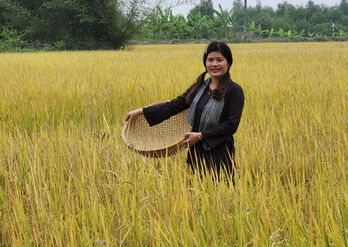 Bring the world's best rice to homeland Long An