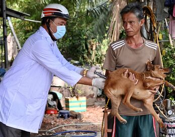 Bến Lức tiêm vắc-xin phòng bệnh dại cho chó, mèo