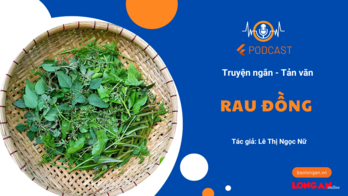 Rau đồng