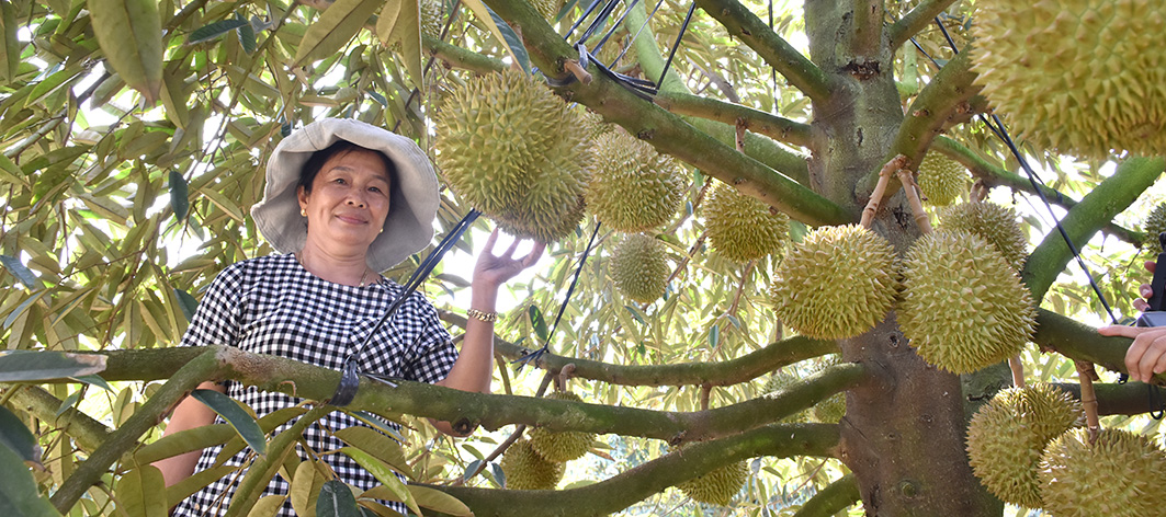 Tan Thanh's tourism development potential