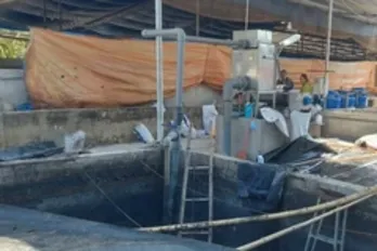 Ngạt khí ga từ hầm chứa nước thải chăn nuôi, 3 người trong một gia đình tử vong
