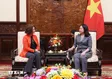 Quyền Chủ tịch nước Võ Thị Ánh Xuân tiếp Giám đốc Quốc gia WB tại Việt Nam