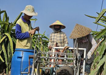 Hành trình hướng tới vùng nguyên liệu chất lượng cao