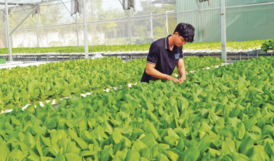 Huyện Cần Giuộc với nhiều phong trào thi đua nổi bật