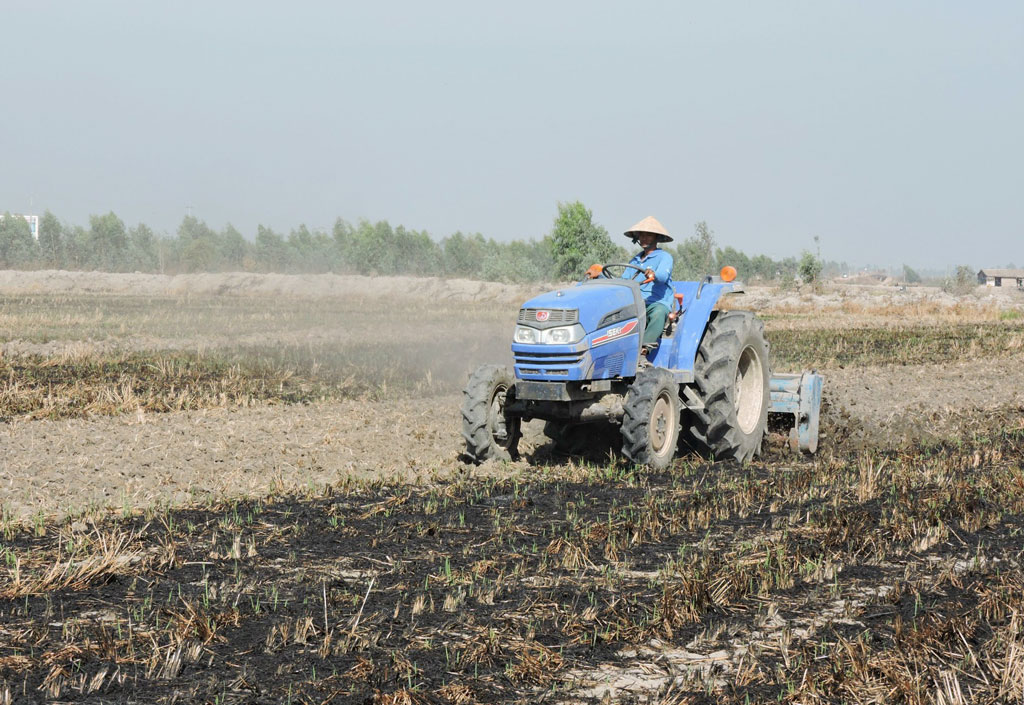 Positive signals from '1 million hectares of high quality rice' project