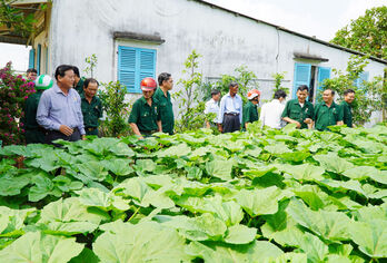 Cần Giuộc: Xóa nghèo trong Hội viên Cựu chiến binh