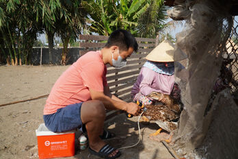 Cần Giuộc tiêm phòng vắc-xin cúm gia cầm H5N1 trên vịt đợt 1 năm 2024