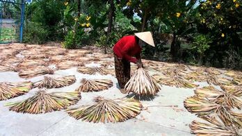 Tân Hưng: Tận dụng cây lục bình để tạo thêm thu nhập