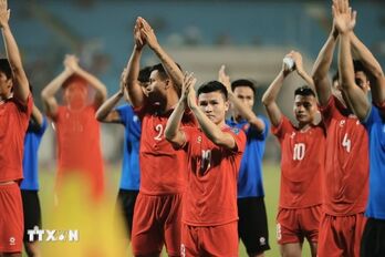 Đội tuyển Việt Nam tụt 10 bậc, rơi xuống hạng 115 thế giới