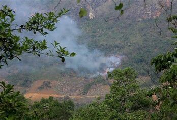 PM orders strengthening forest fire prevention, control