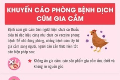 Những điều cần biết để phòng, chống bệnh dịch cúm gia cầm