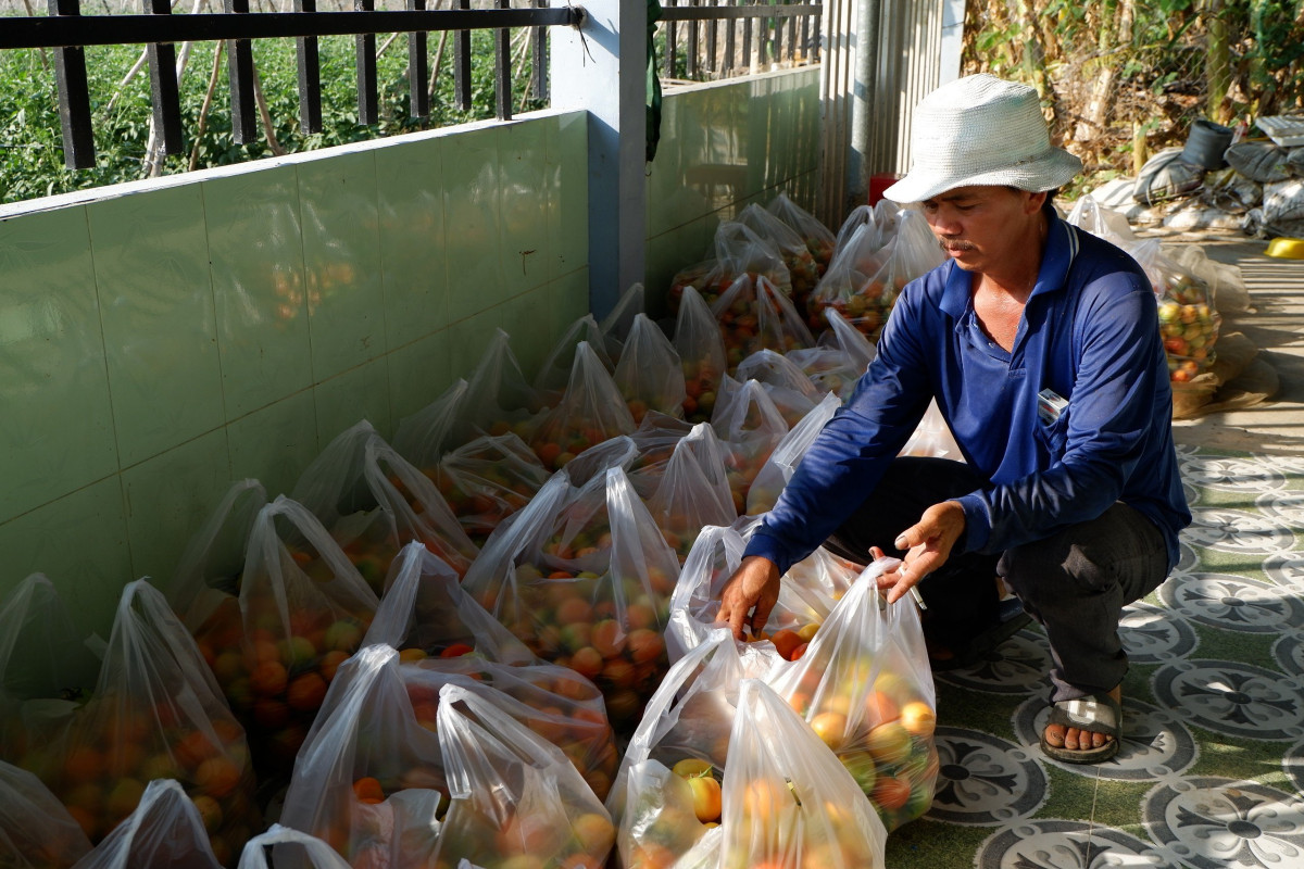 Chuyển đổi cơ cấu cây trồng mang lại hiệu quả