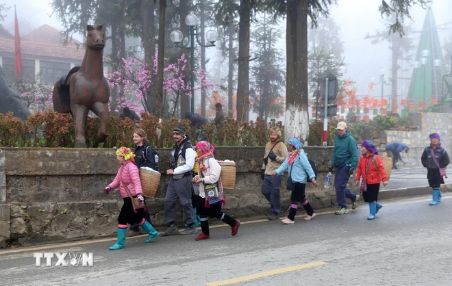Việt Nam là điểm đến thú vị và an toàn đối với người dân Canada