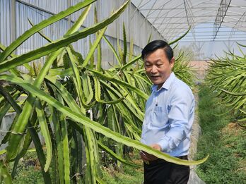 Khảo sát mô hình nông nghiệp công nghệ cao tại Châu Thành