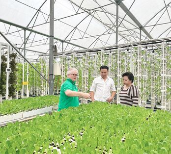 San Hà - Orlar hợp tác trồng rau công nghệ mới