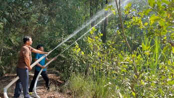 Khu Bảo tồn đất ngập nước Láng Sen nâng cấp cảnh báo dễ xảy ra cháy rừng