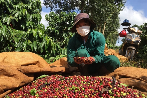 Nearly 600 million USD disbursed in support of agroforestry, aquatic sectors