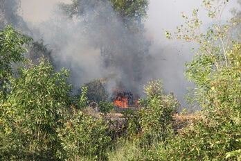 Cháy rừng tràm tại Bến Lức