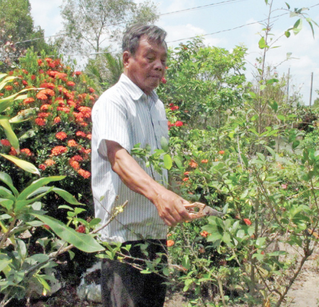 Tấm lòng người cựu chiến binh
