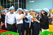 Okayama City delegation surveys at Hoang Phat Fruit Company