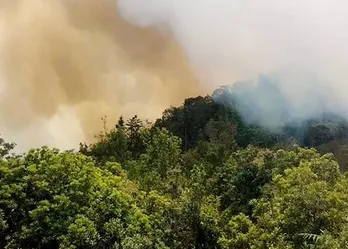 Hà Giang: Hai cán bộ kiểm lâm tử nạn khi tham gia chữa cháy rừng