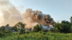 Lại xảy ra cháy rừng tràm tại huyện Bến Lức