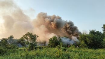 Lại xảy ra cháy rừng tràm tại huyện Bến Lức