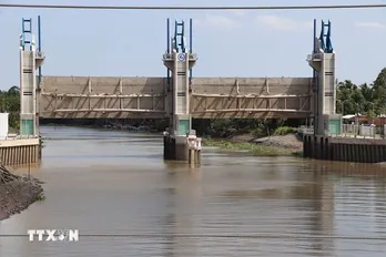 Xâm nhập mặn ở các sông khu vực Đồng bằng sông Cửu Long duy trì ở mức cao