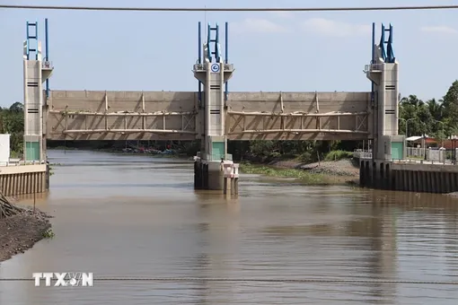 Xâm nhập mặn ở các sông khu vực Đồng bằng sông Cửu Long duy trì ở mức cao