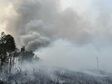 Từ 2023 đến nay xảy ra gần 400 vụ cháy rừng, thiệt hại trên 1.100ha