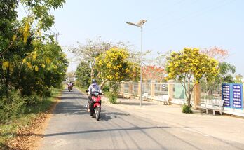 Thanh Vĩnh Đông: Dân vận khéo trong xây dựng nông thôn mới