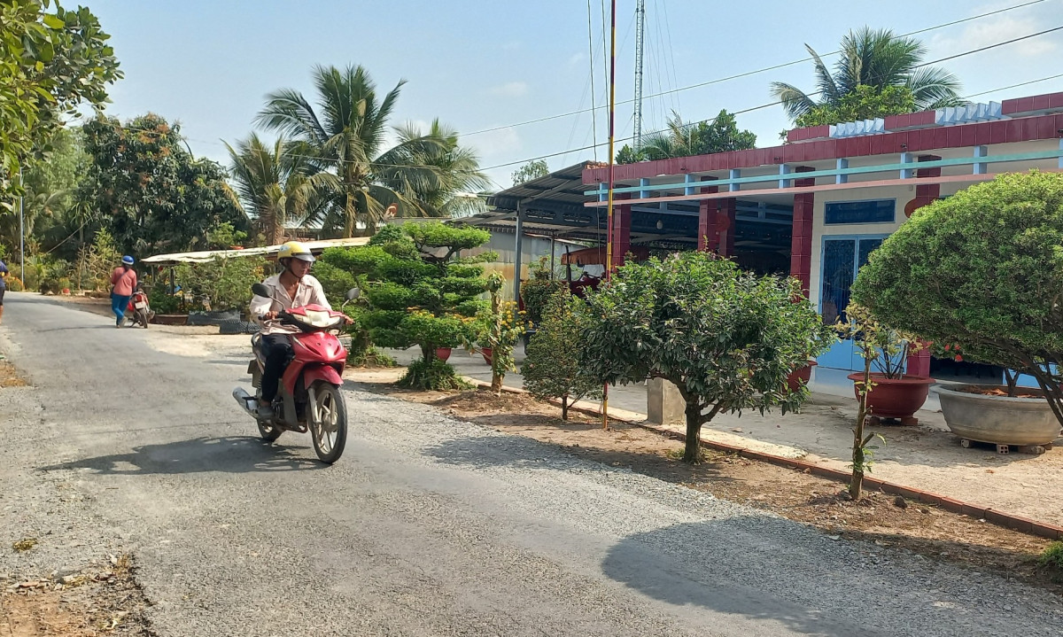 Thái Trị thay 'áo mới'