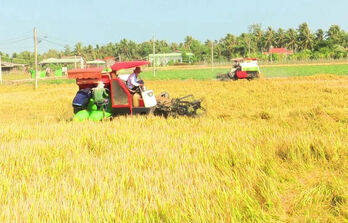 Tân Trụ tập trung xây dựng nông thôn mới nâng cao