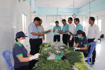 Phát huy vai trò của kinh tế hợp tác trong xây dựng nông thôn mới