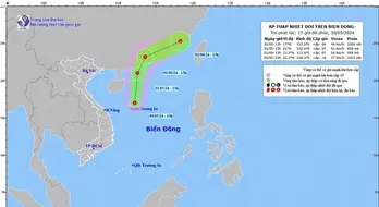 Các tỉnh, thành từ Quảng Ninh-Kiên Giang chủ động ứng phó với áp thấp nhiệt đới