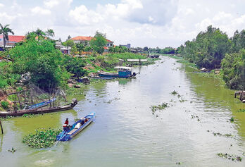 Đồng Tháp Mười - Gần 50 năm đổi mới: 'Tiến quân' về Đồng Tháp Mười - Đúng đắn và táo bạo (Bài 2)