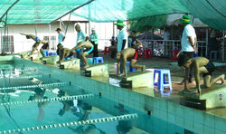 Khai mạc hè, Ngày Olympic trẻ em và phát động toàn dân tập luyện môn bơi phòng, chống đuối nước tỉnh Long An năm 2024