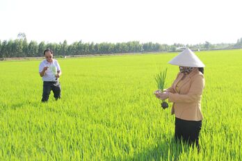 Sản xuất nông nghiệp đạt kết quả tích cực