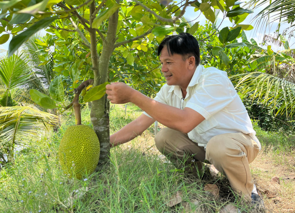 Bình Hiệp: Hành trình 'chinh phục' nông thôn mới nâng cao