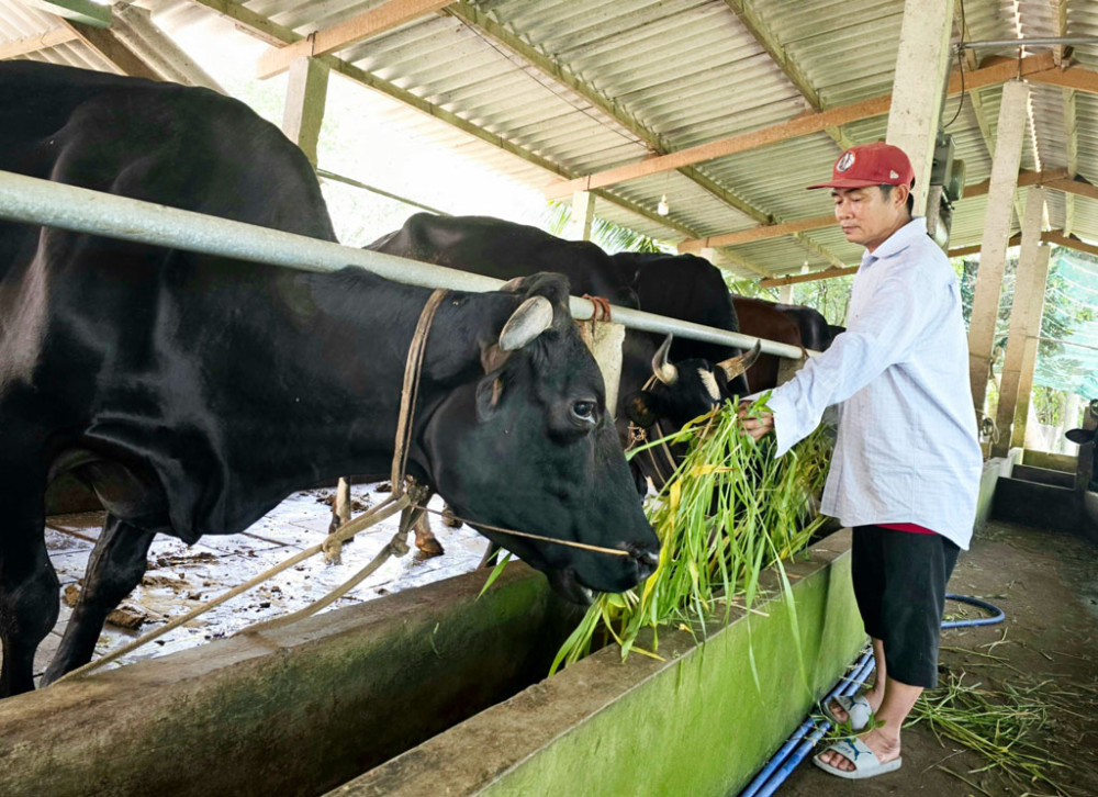Efficiency from converting crops and livestock