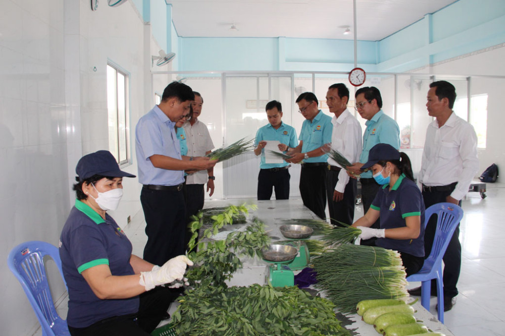 Các chính sách ưu đãi, hỗ trợ về thuế thu nhập, các khoản thu từ đất đối với hợp tác xã