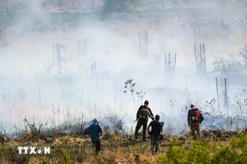 Mỹ tìm cách xoa dịu căng thẳng tại biên giới Liban và Israel