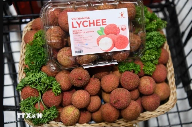 Vietnamese lychees become familiar to Thai consumers