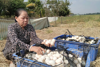 Vượt khó phát triển kinh tế